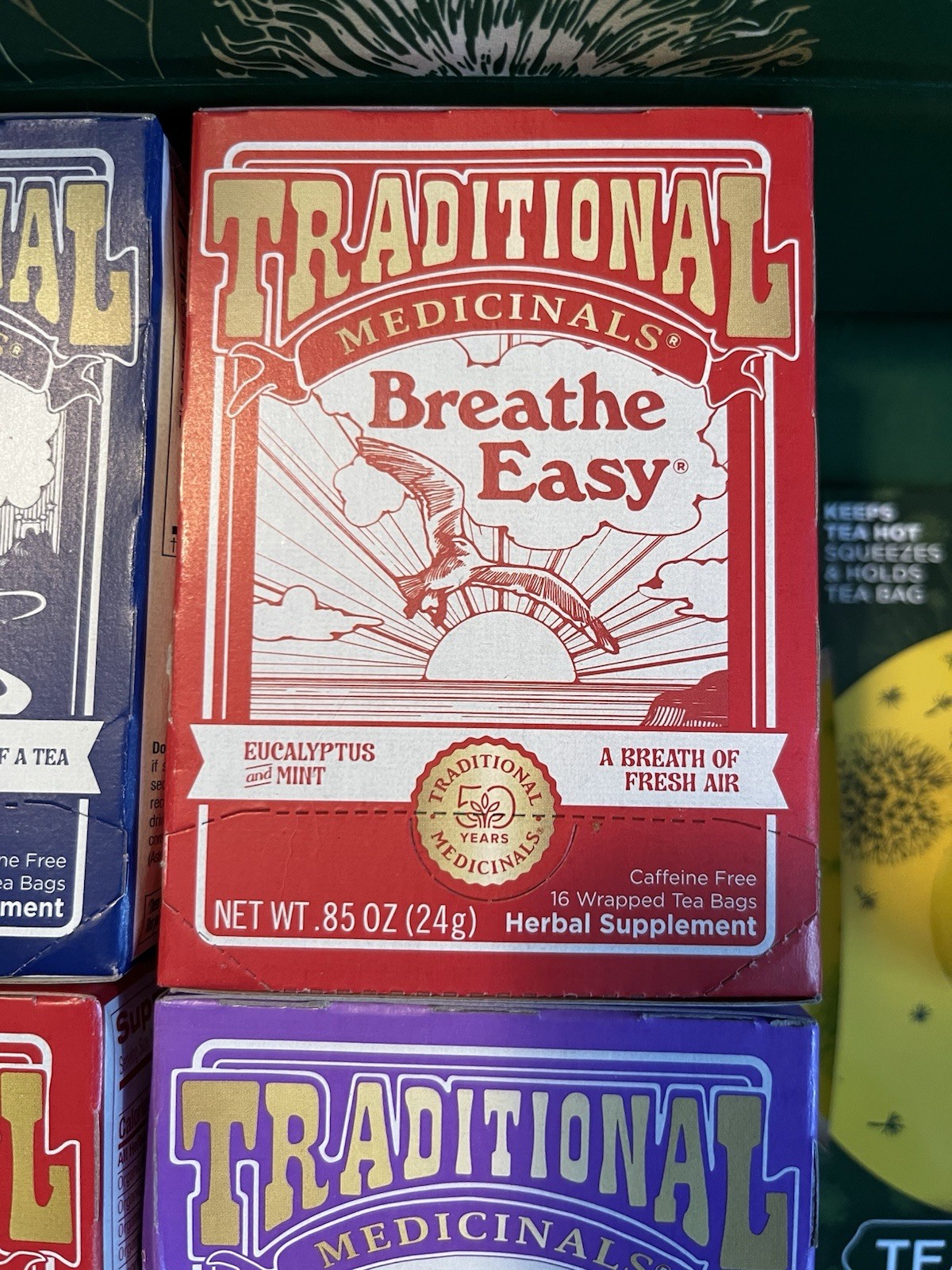 Tea Set Traditional Medicinals Organic Teabags, Tea Buddy + Gold Tea Spoon