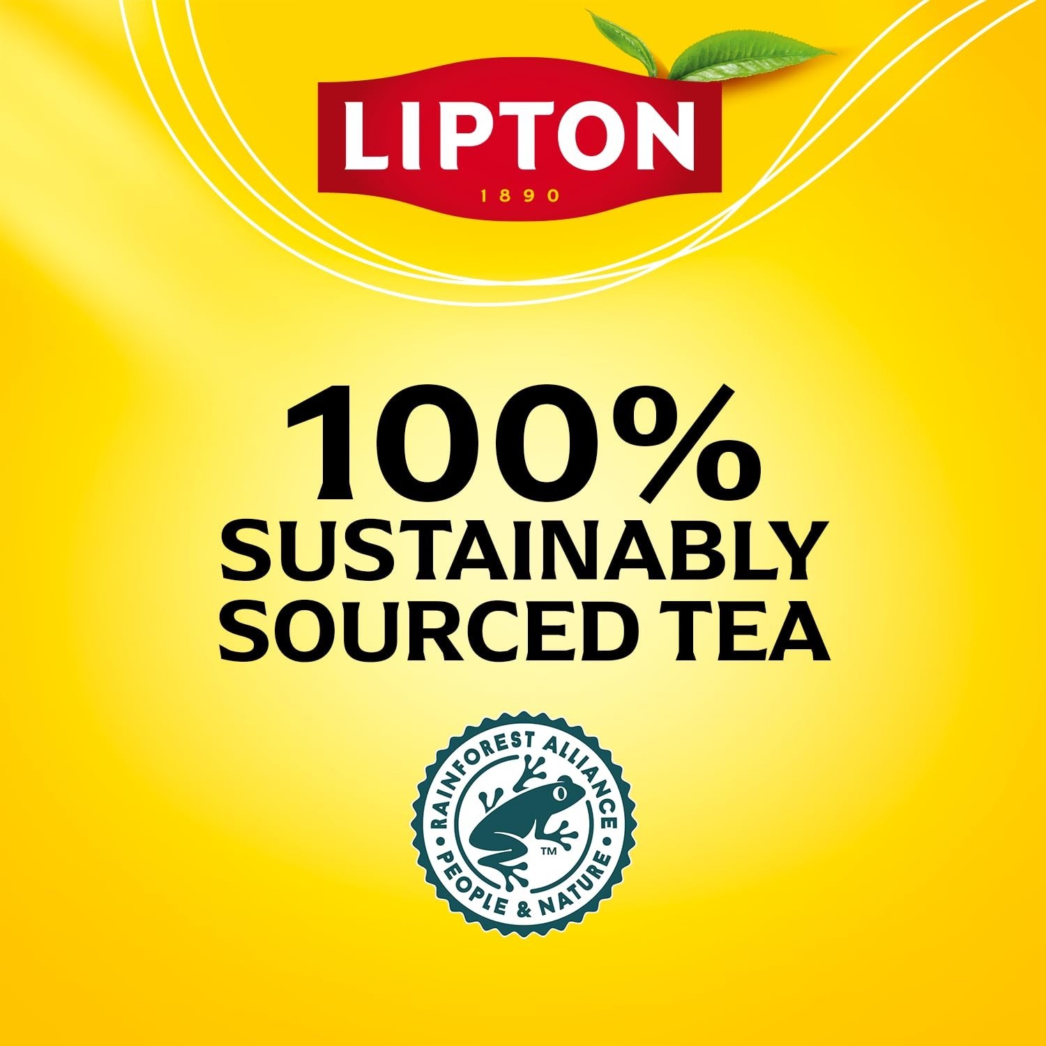 100 Count High Caffeine Black Tea Bags – Energizing Hot or Iced Beverage
