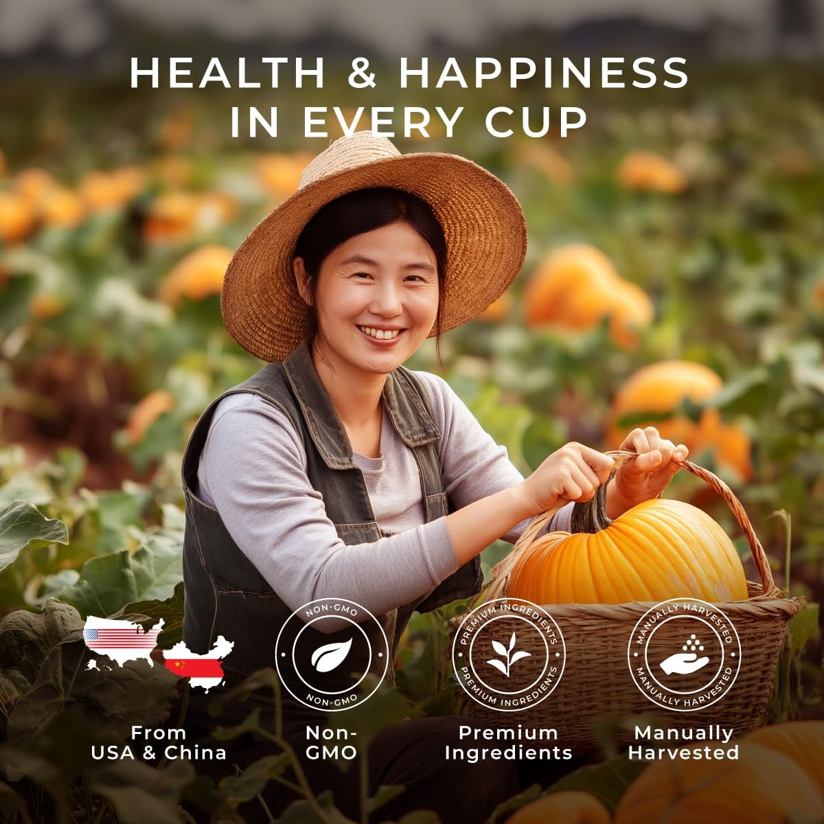 Gya Tea Co Pumpkin Chai Latte Gift Set (16 ct) – 16 Count (Pack of 1)