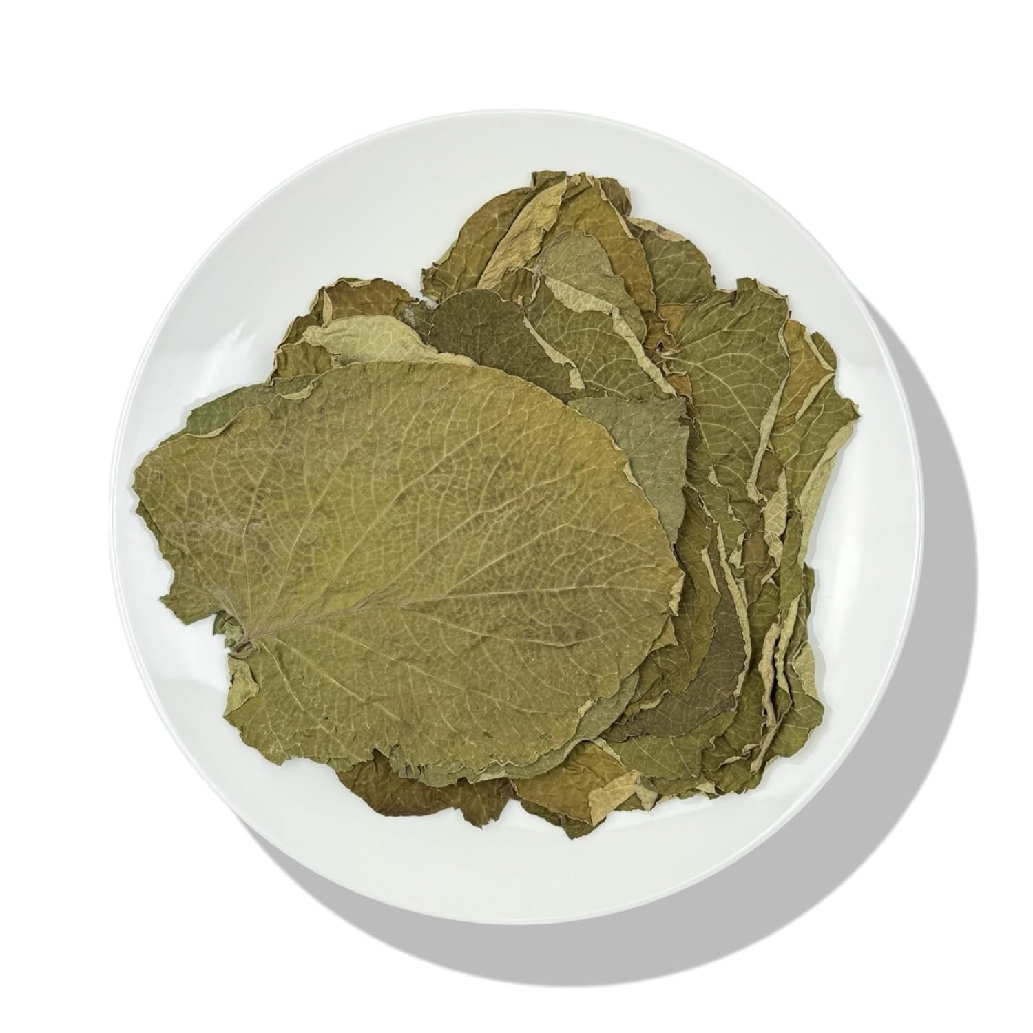 Hoja Santa Yerba Santa Leaf Leaves Herb Herbal Tea Mexican pepperleaf: 2 oz-4 oz