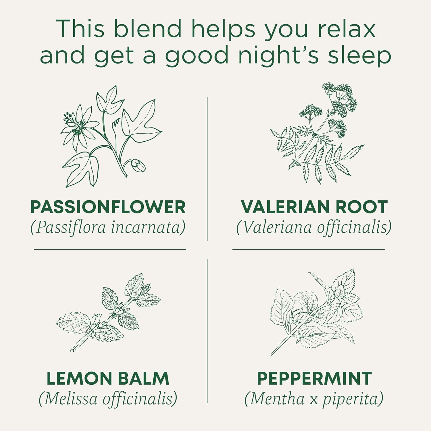 Te De Valeriana ORIGINAL Para Dormir Los Nervios Organico Natural VALERIAN TEA
