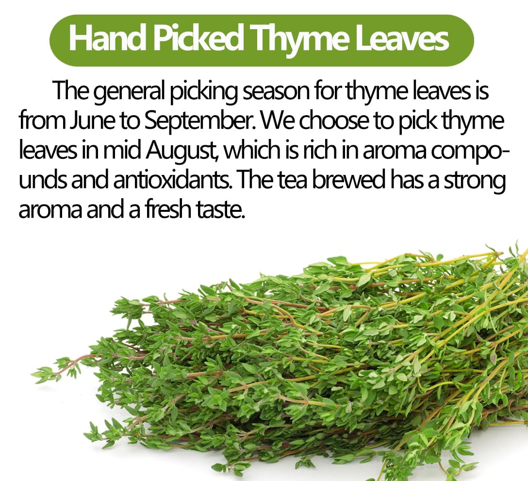 Premium 100 Thyme Leaf Tea Bags, 100% Pure Thyme Leaves, Caffeine Free