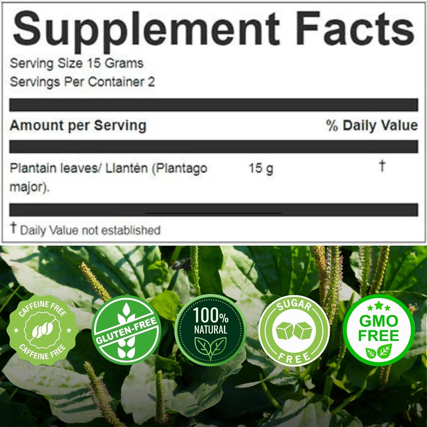 Llanten 30g Plantain Leaf Herbal Tea from Peru