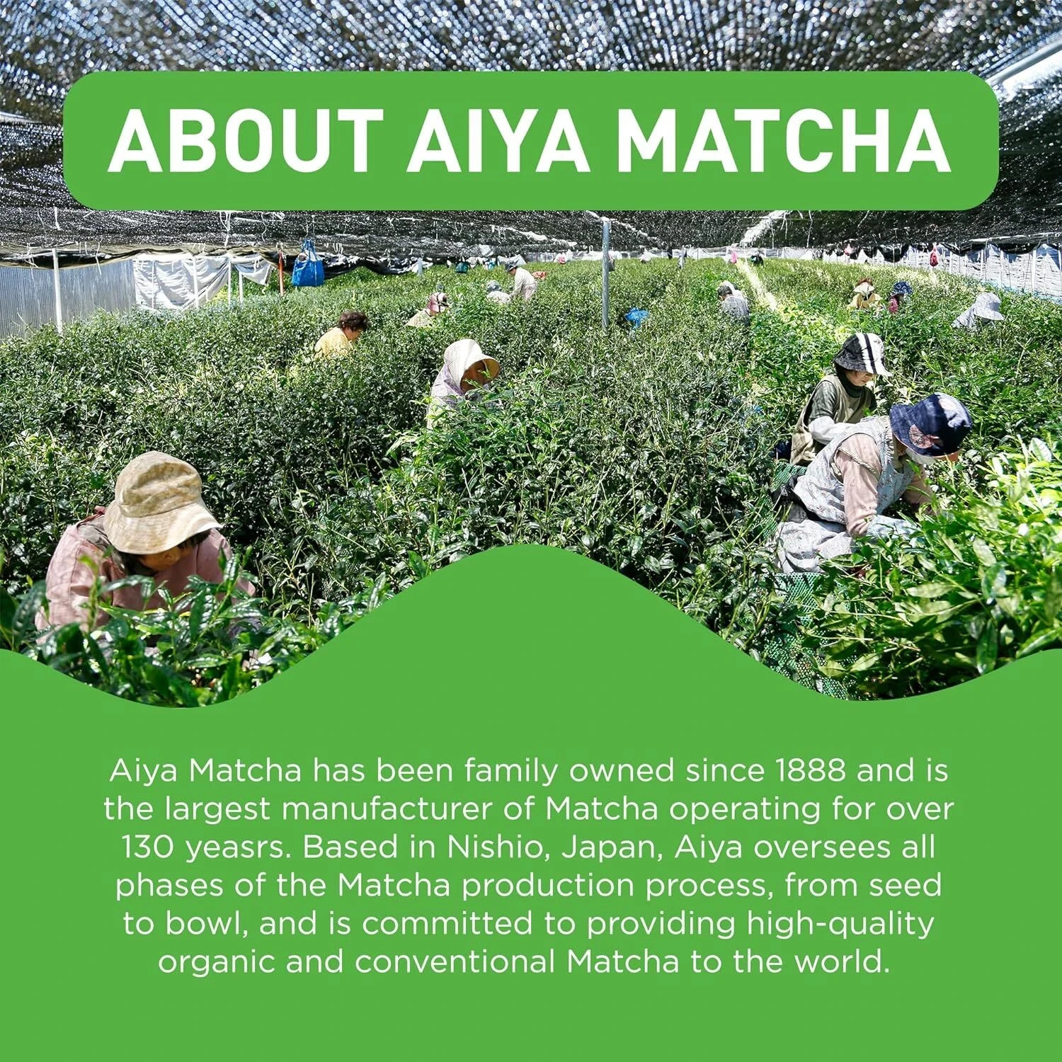 Aiya Matcha Tea Ceremonial Grade 30 Gr. Exp. 7/24/2027 or Better