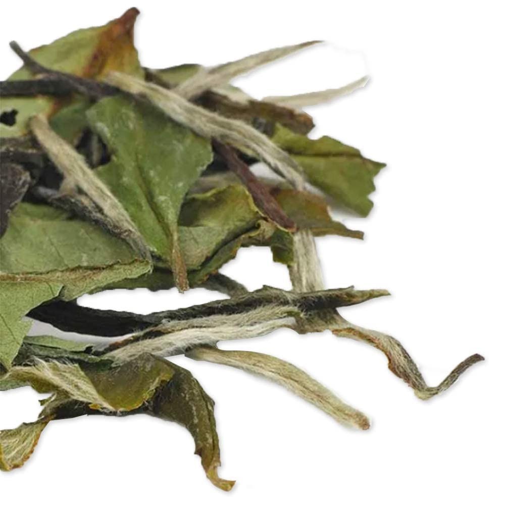 TIAN HU SHAN Premium White Tea Loose Leaf, Original Bai Mu Dan with a Light &…
