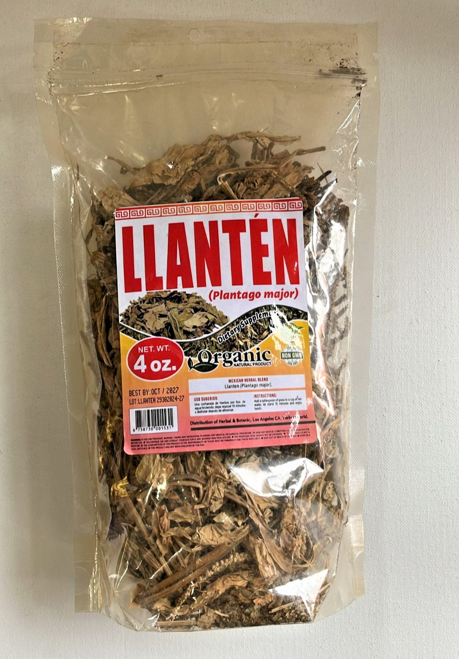 Llantén / Plantain Herb 4oz – Organic Mexican Herbal Tea/ Té Natural de Hierbas