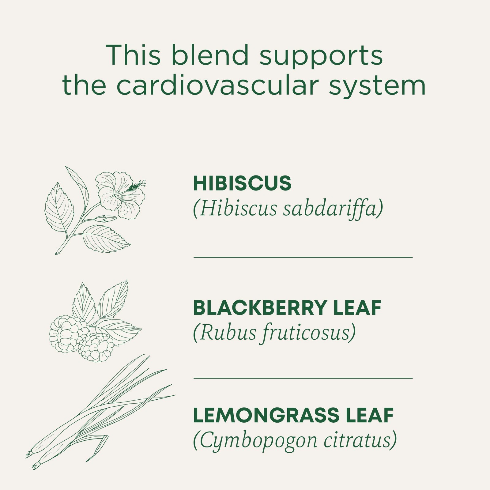 Traditional Medicinals Organic, Hibiscus Tea – 16 Count (Pack of 1), Red