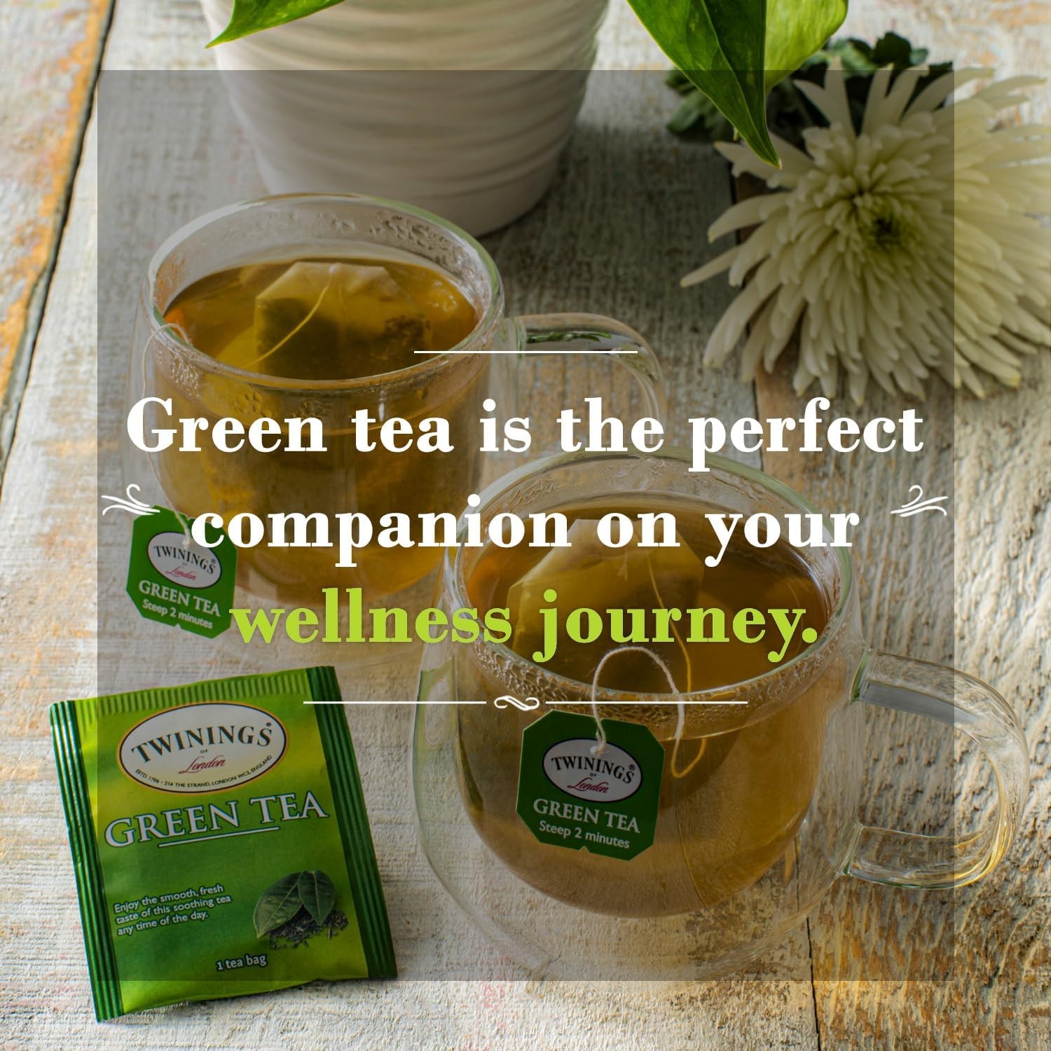Twinings Pure Green Tea 50 Count Fresh Smooth Delicate Flavor USA Grown