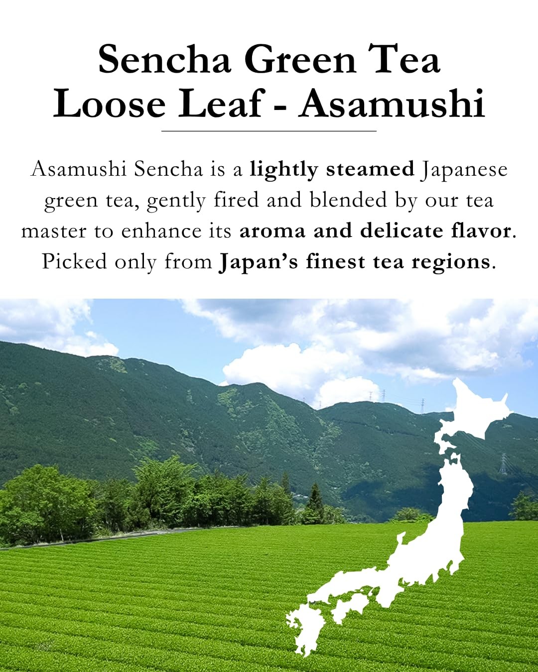 2.82 oz Organic Japanese Sencha Green Tea, Loose Leaf, First Harvest, Asamushi