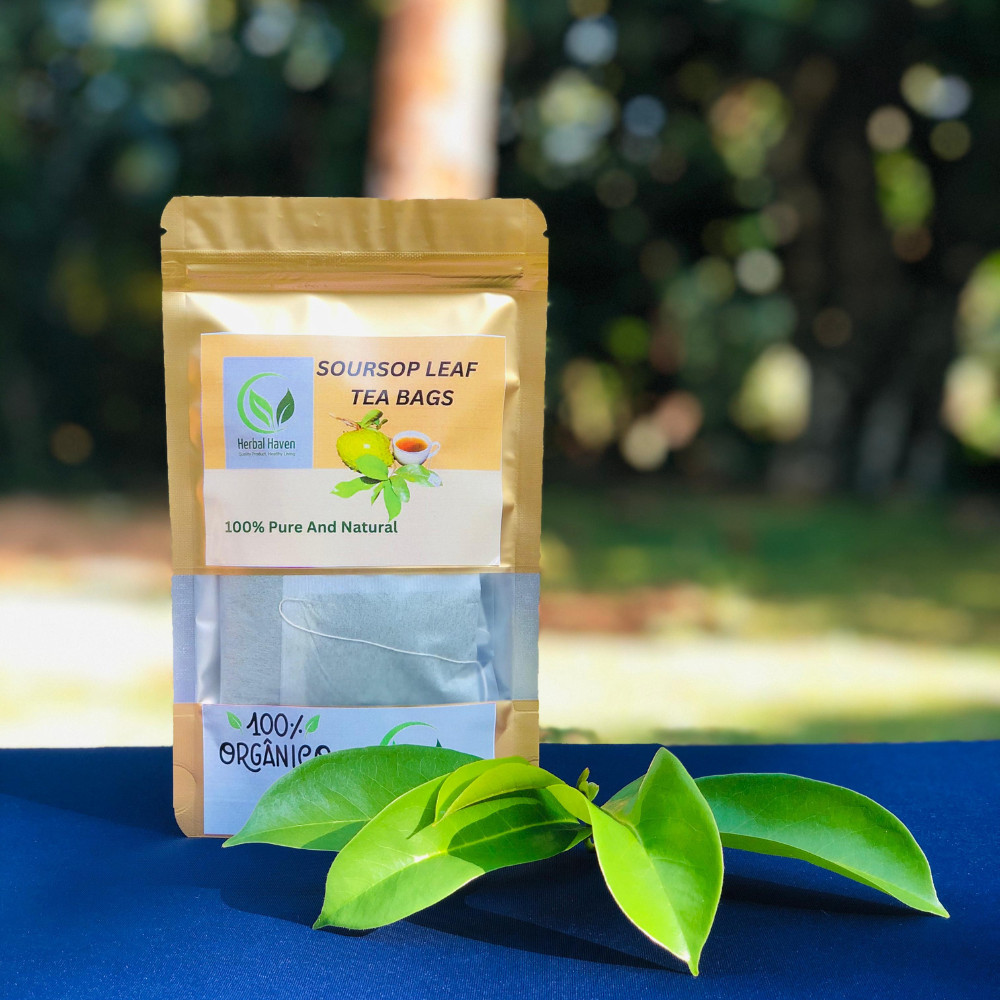 Dried Organic Soursop Leaves Herbal Tea Bags Guanabana Graviola Annona Muricata