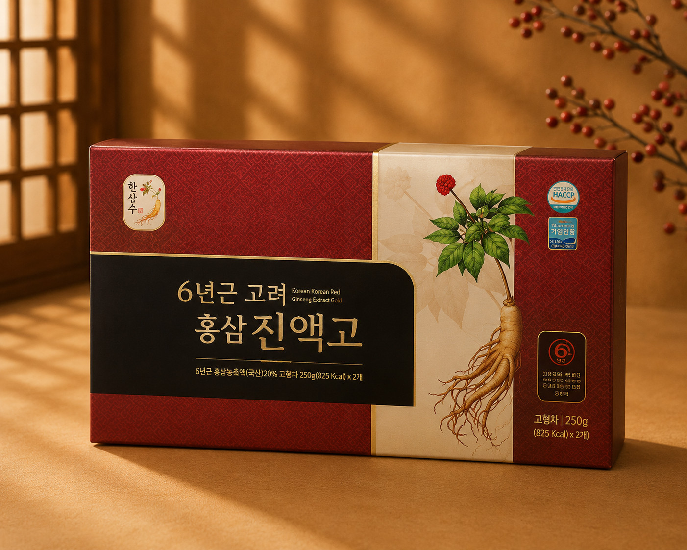 Hansamsu 6 Years Red Ginseng Extract 500g x2 Premium Gift Set Korea