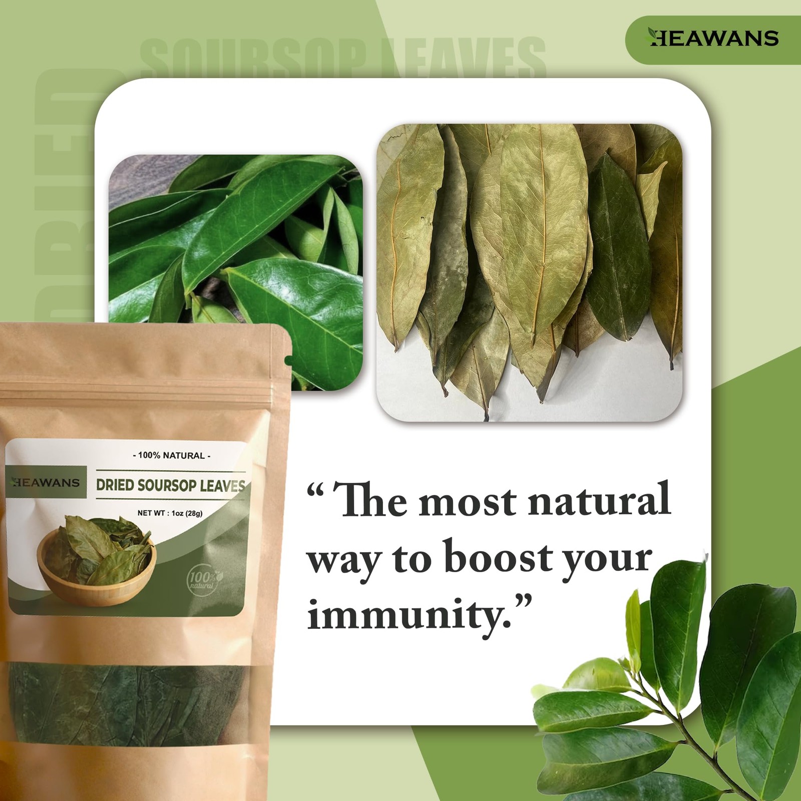 100% Natural Dried Soursop Leaves From Ceylon Sri Lanka 1oz 28g