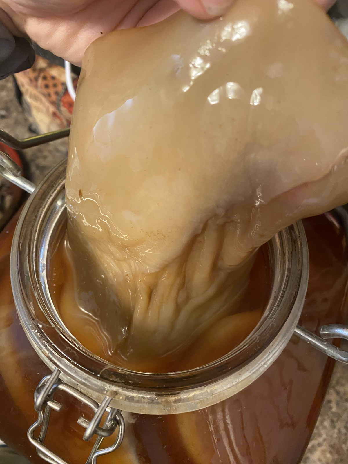 Kombucha 1/2 Cup Tea (Makes 1/2 Gallon)