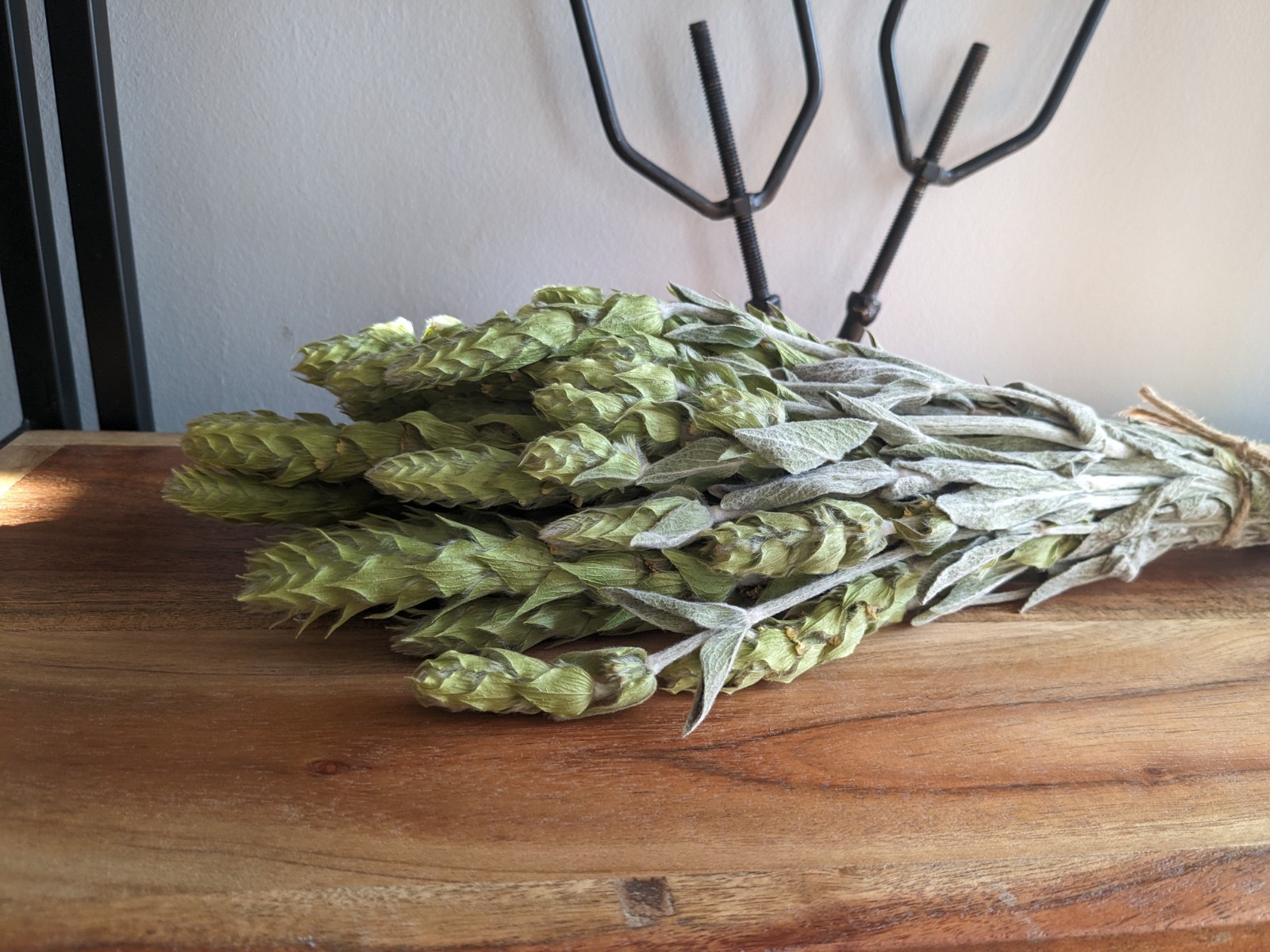Mountain Tea |Bulgarian Mountain Tea | Herbs | Ironwort Tea | Sideritis scardica