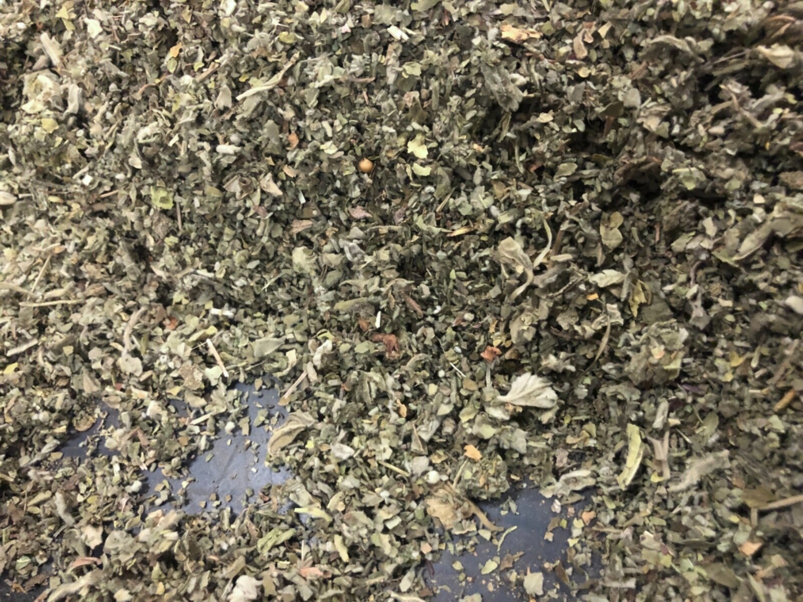 1 LB POUND MARSHMALLOW LEAF Althaea Bulk Medicinal heal throat Organic Herb