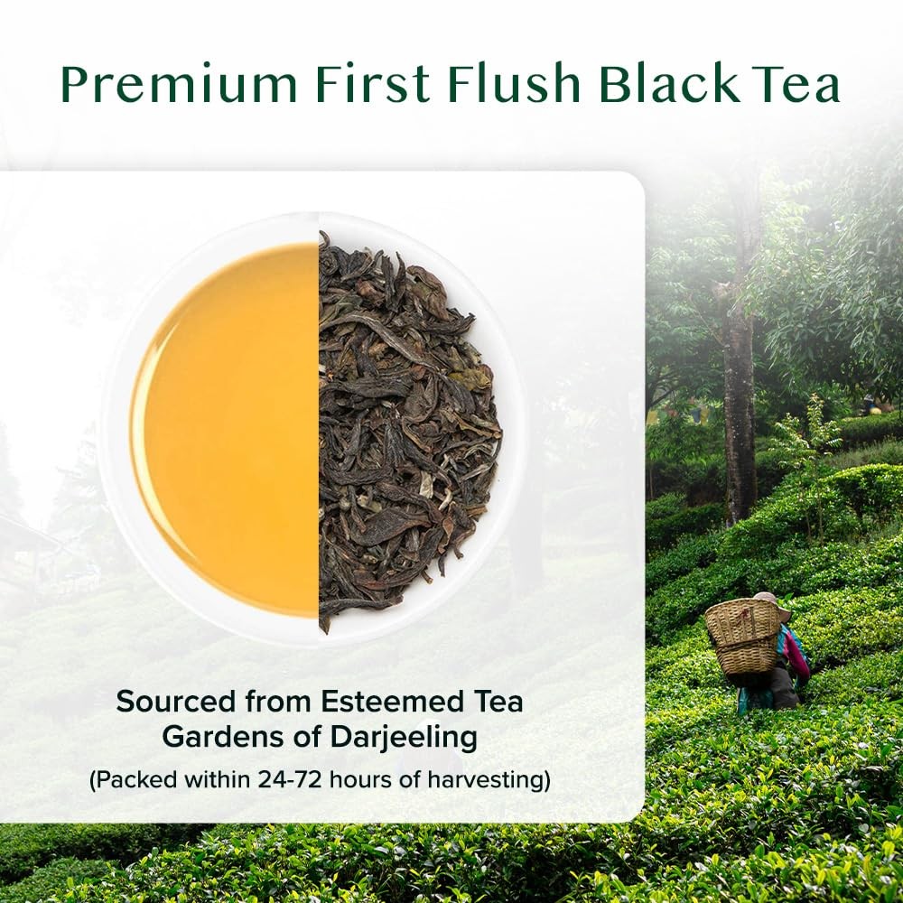 , First Flush Darjeeling Tea – 50 Cups (3.53oz) | Loose Leaf Black Tea – Flow…