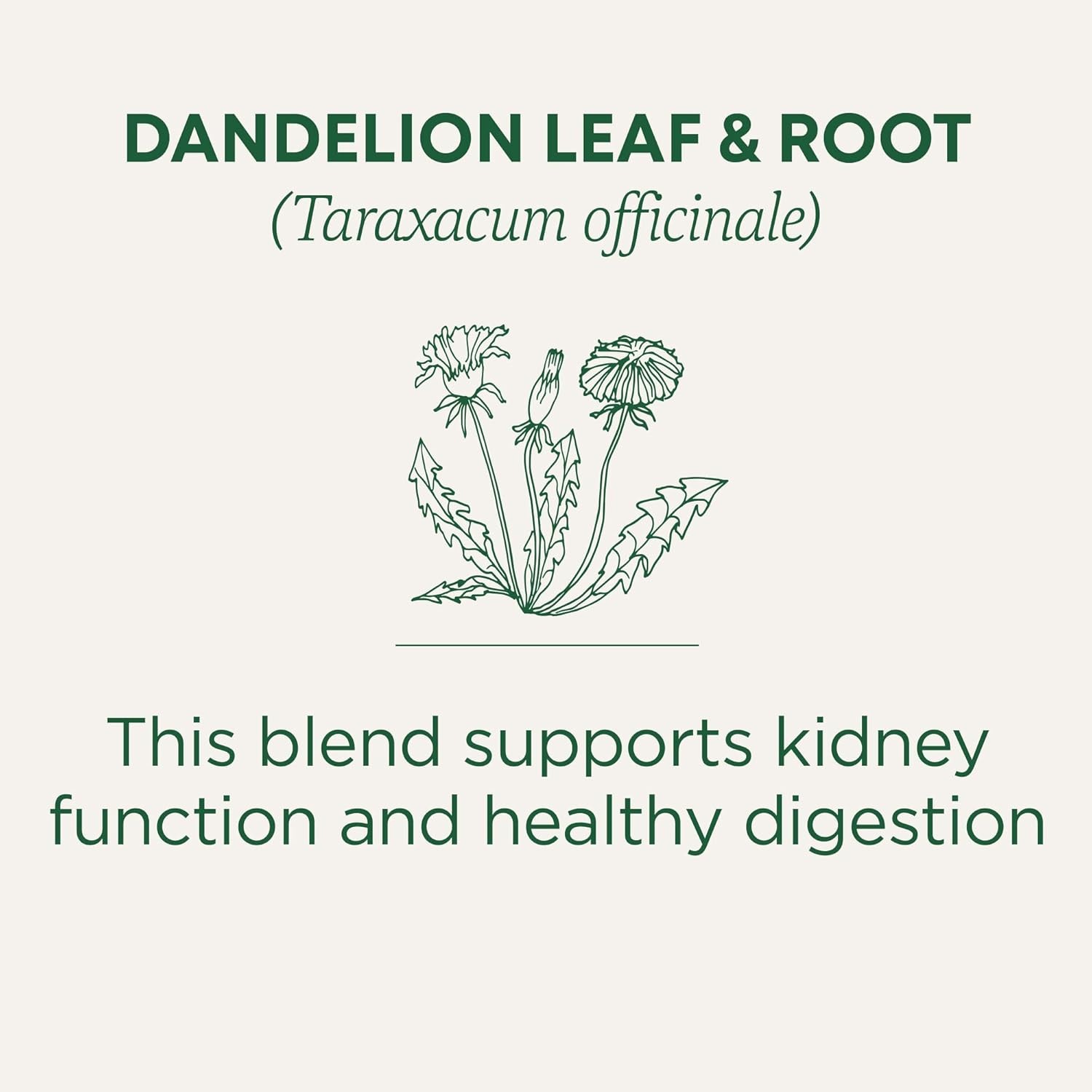 Dandelion Leaf & Root Tea 16 Bag