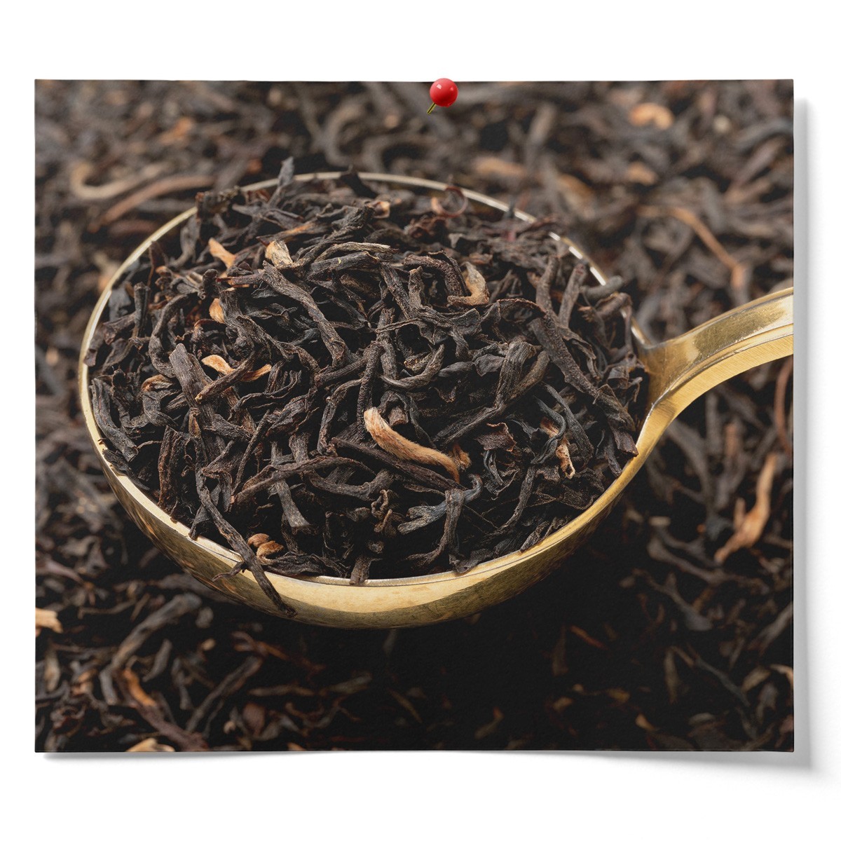 Fermentaholics Assam Black Tea Organic Loose Leaf Tea 4 oz Package