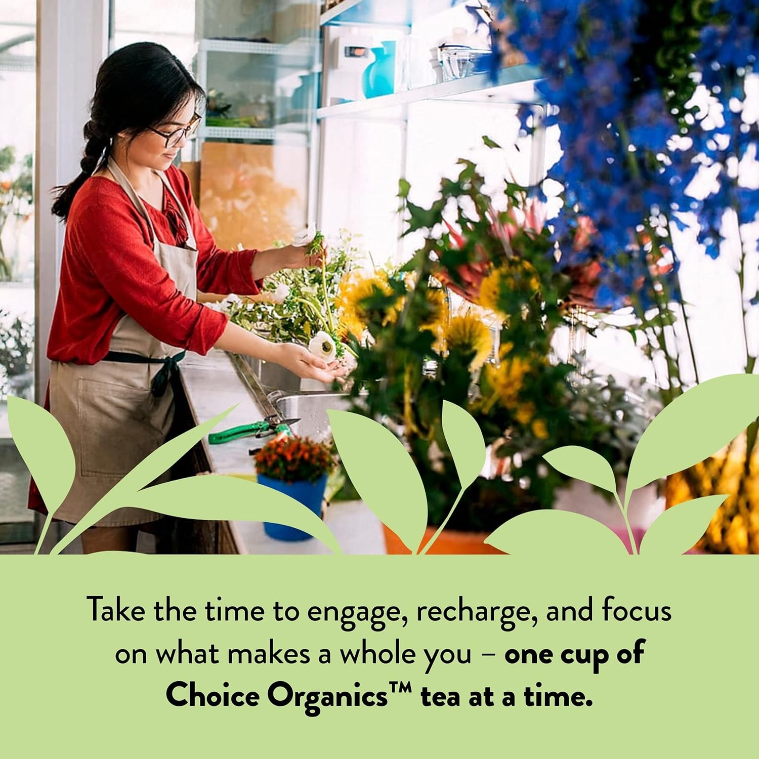 Choice Organics Mint Sage Tea 16 Count Caffeine Free Organic Herbal Tea Bags