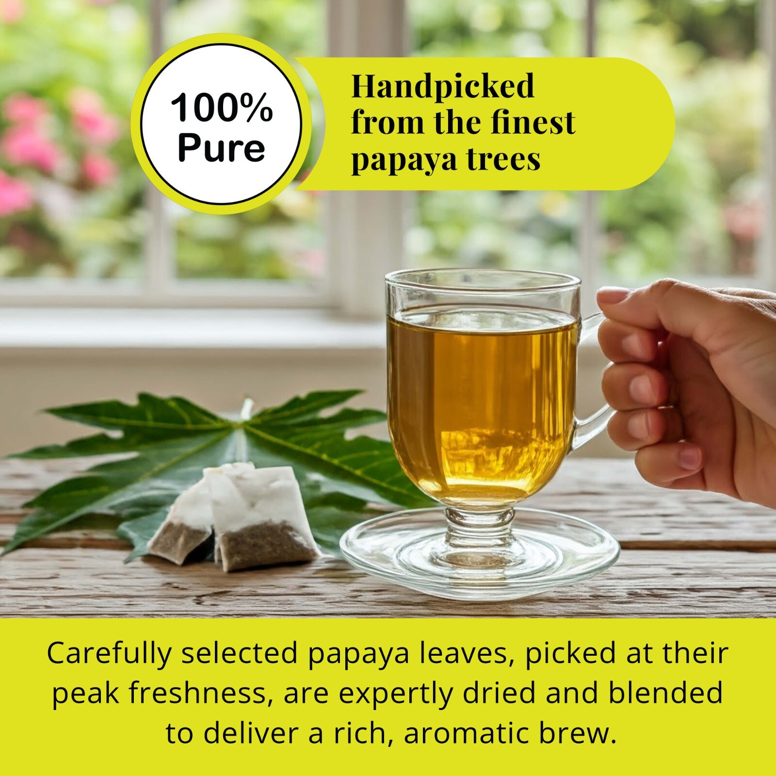 75 Papaya Tea Bags, Papaya Leaf Tea, Te De Hojas De Papaya, Herbal Tea