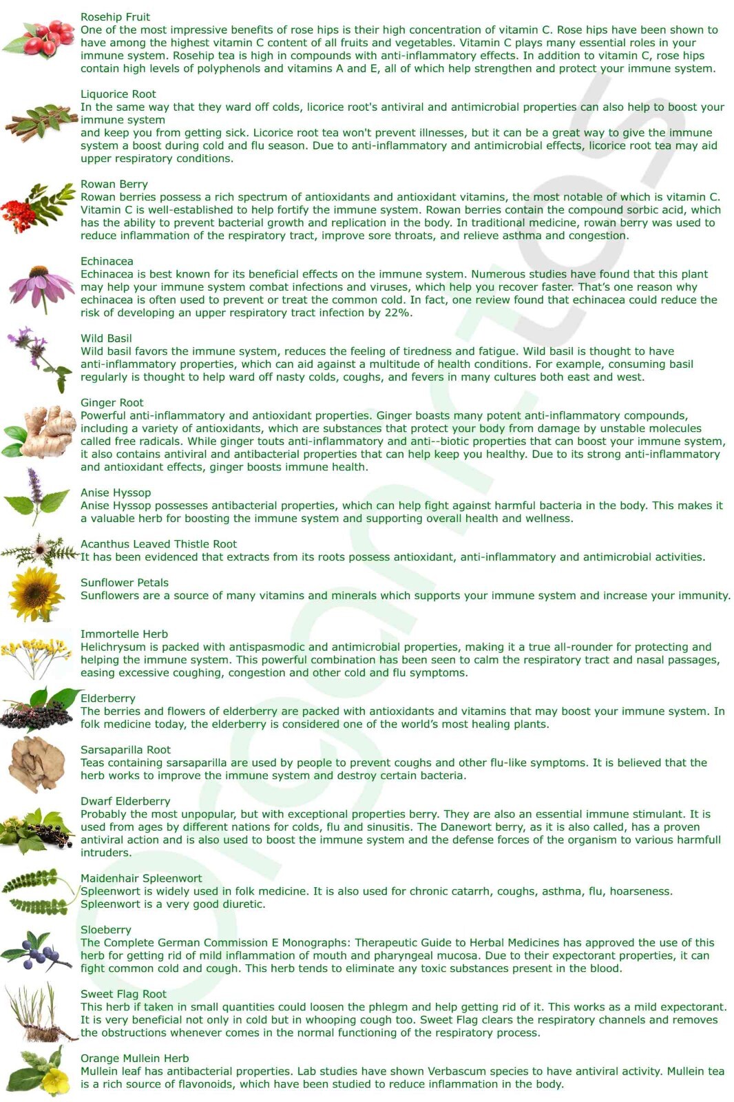 17 Herbs IMMUNE SYSTEM BOOSTER TEA – Immune Support Loose Natural & Organic Tea