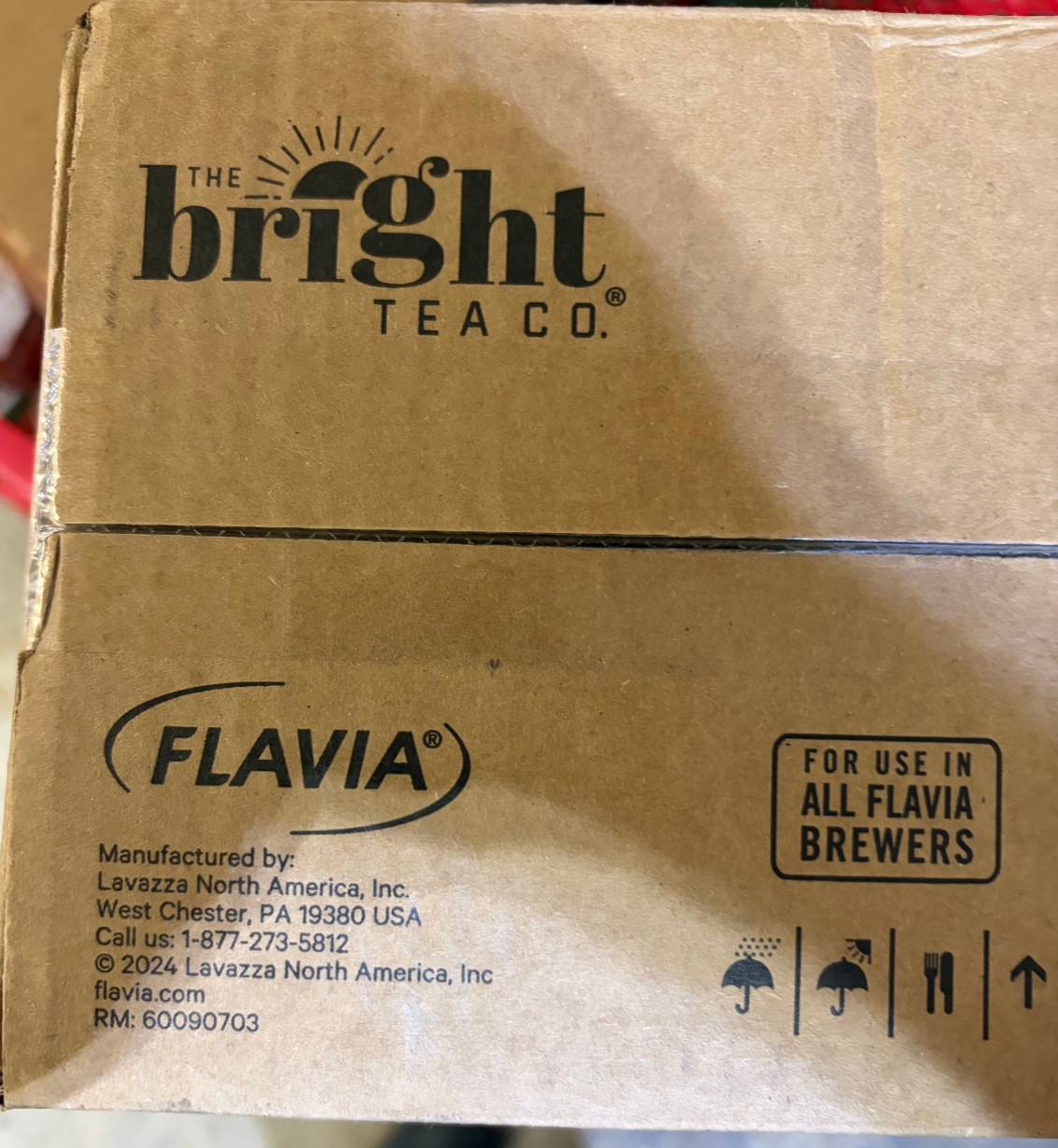 100x .09oz Bright Chai Spice Tea Rails 48021 BB 9/03/2026 Flavia Lavazza Ginger