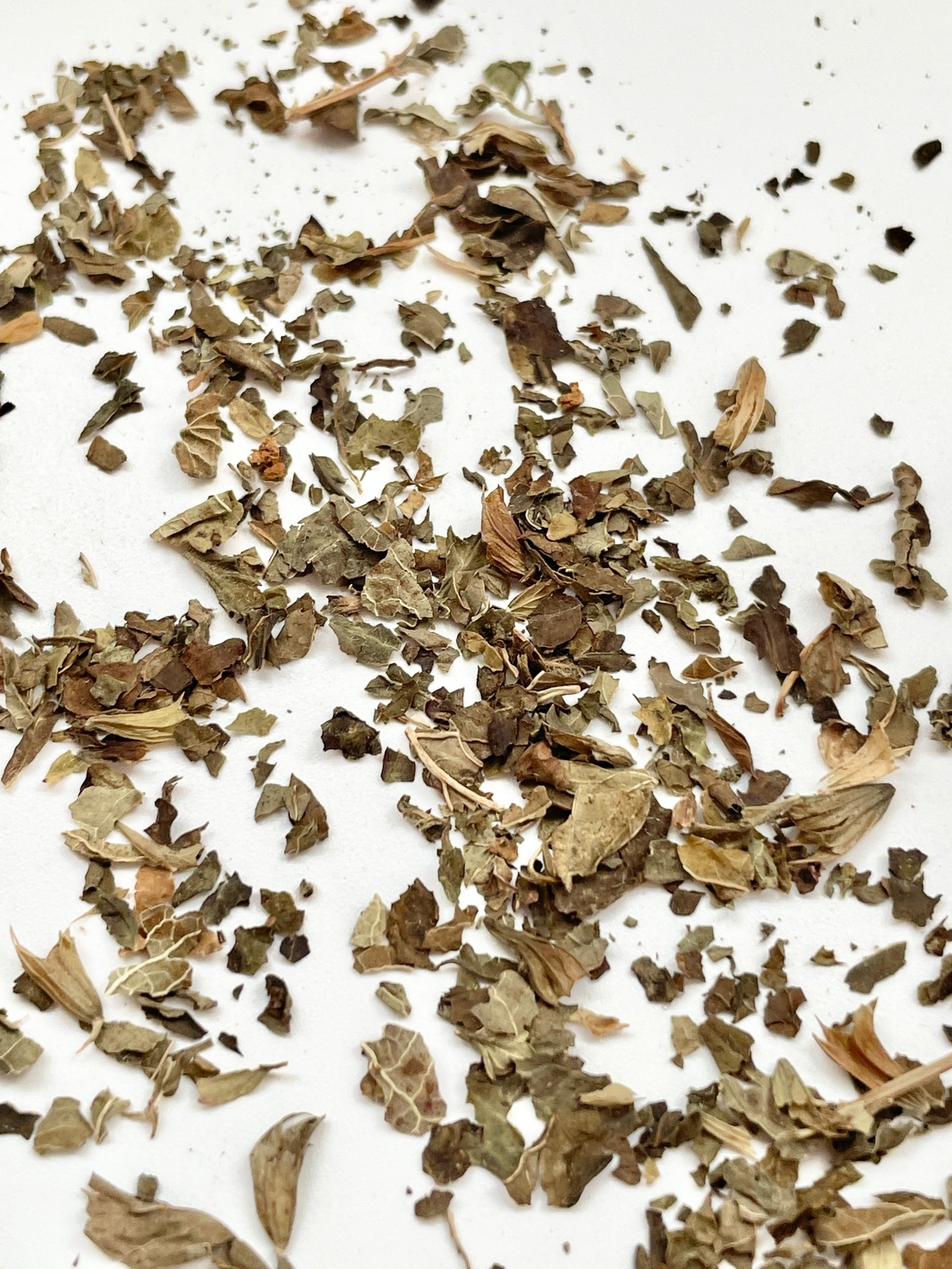 Lemon Balm Tea by Palm Beach Herbals | 30ct, Caffeine-Free