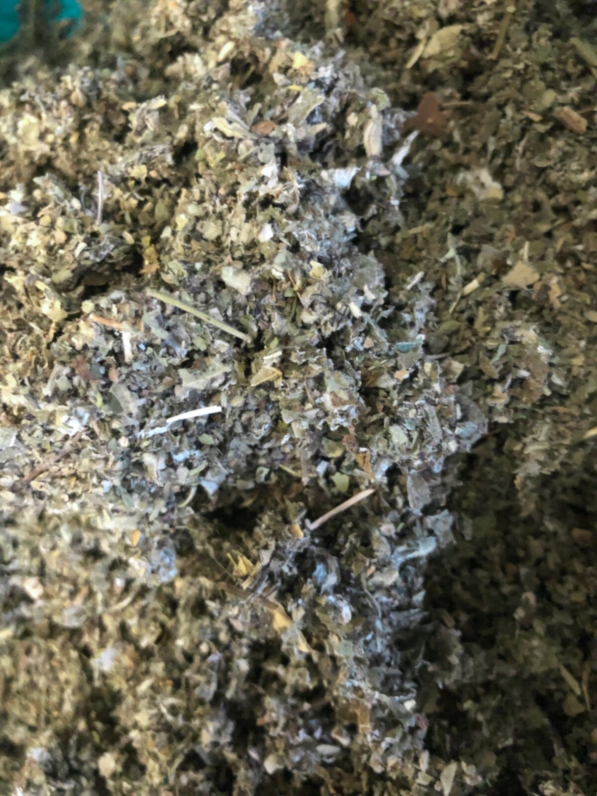 Marshmallow + Mullein + Raspberry Leaf – Quality Organic Herb Tea Mix – 1/2 LB