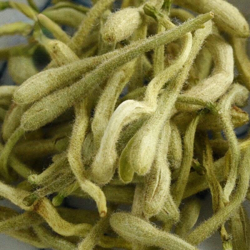 Honeysuckle Flower Tea Jin Yin Hua Dried Herbal Tea Loose Leaf Natural