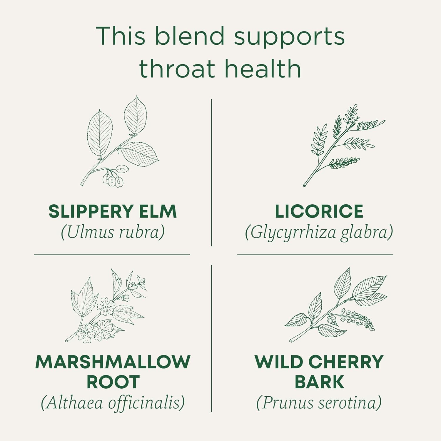 Traditional Medicinals Organic Throat Coat Tea Original with Slippery 16 Tea Bag