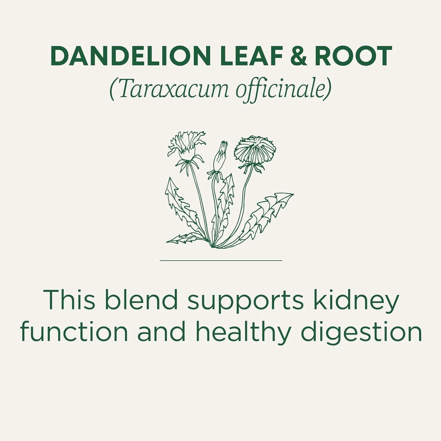 Dandelion Leaf & Root Tea 16 Bag