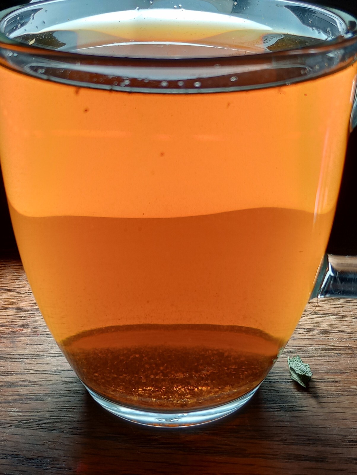 Yaupon Holly Tea Leaves 1/2 Oz Whole Loose Leaf Organic + FREE SAMPLE