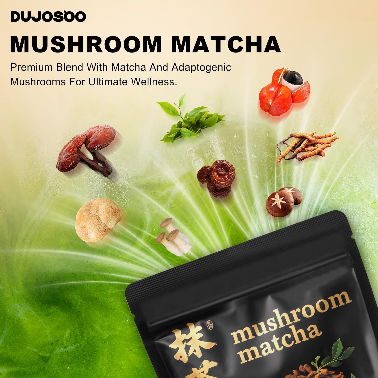 Mushroom Matcha, with 6 Adaptogenic Mushrooms and Ceremonial-Grade Matcha for…