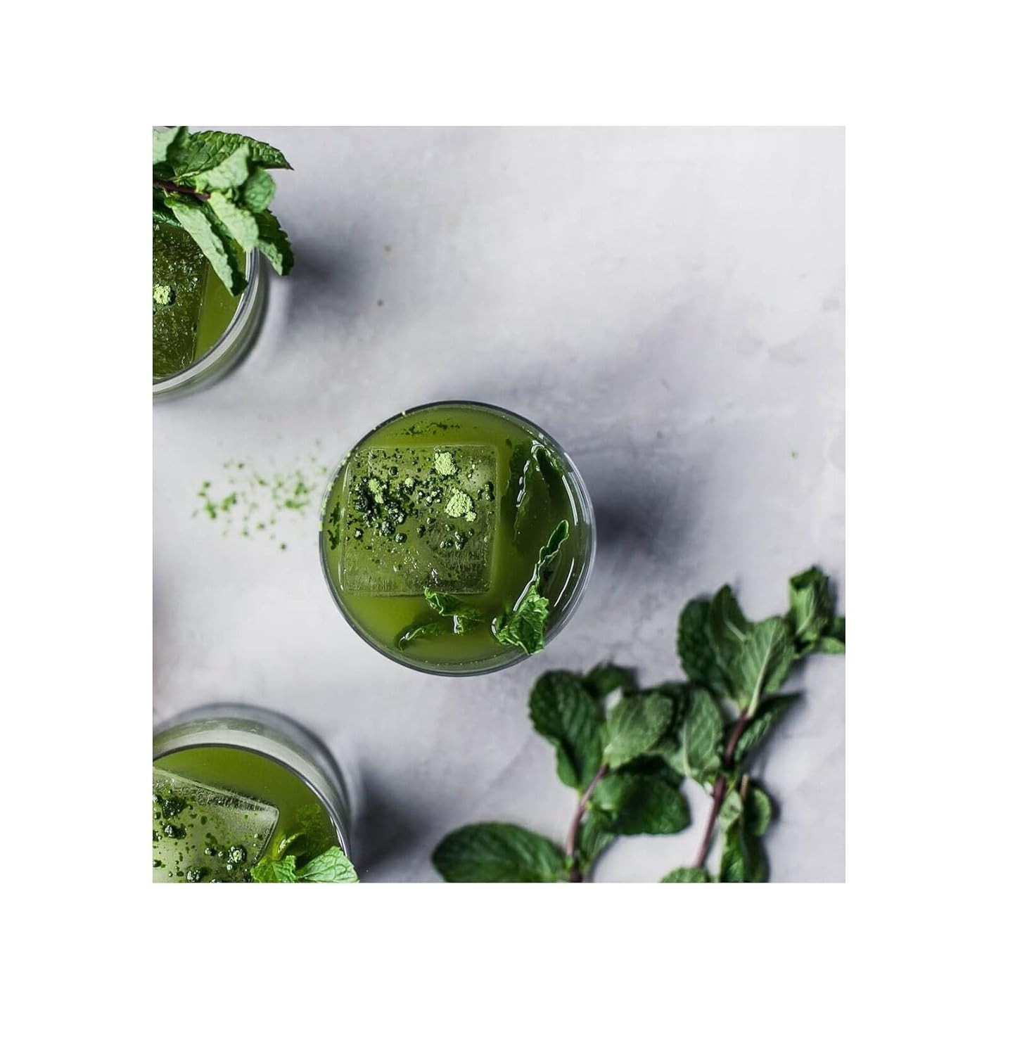 Matcha Kombucha Scoby Starter Kit with Starter Tea to Ferment Culture Healthy