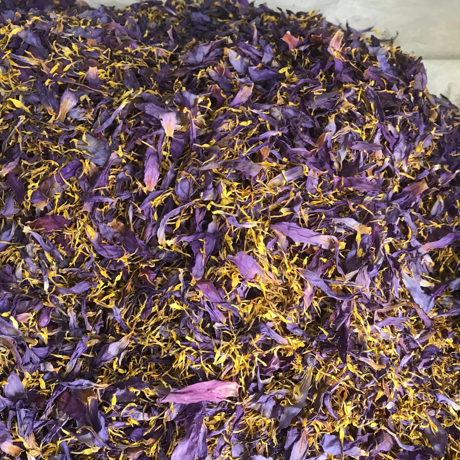 Blue Lotus Petal Stamens Natural Nymphaea Caerulea Flowers Egyptian Organic Tea