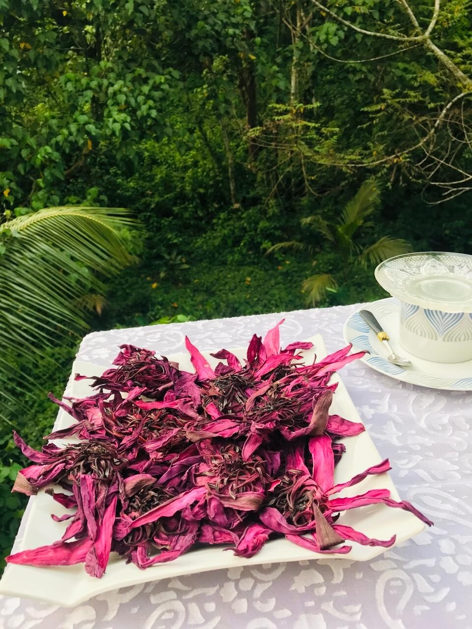 Dried Ceylon Red Lotus Flower Nelumbo Nucifera Pure Organic Hand Pick Herbal Tea