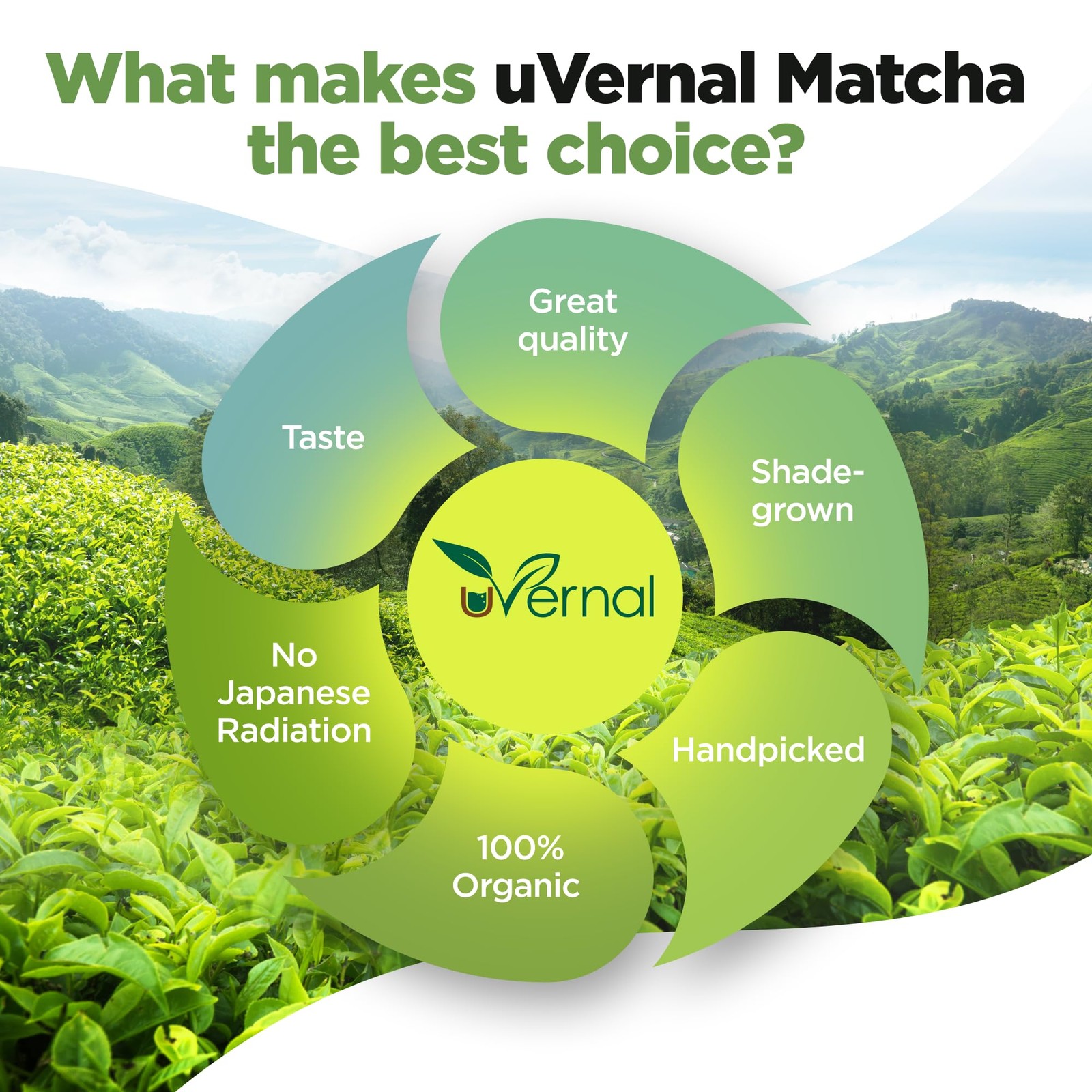 uVernal Organic Matcha Green Tea Powder – 100% Pure 4 Ounce (Pack of 1)