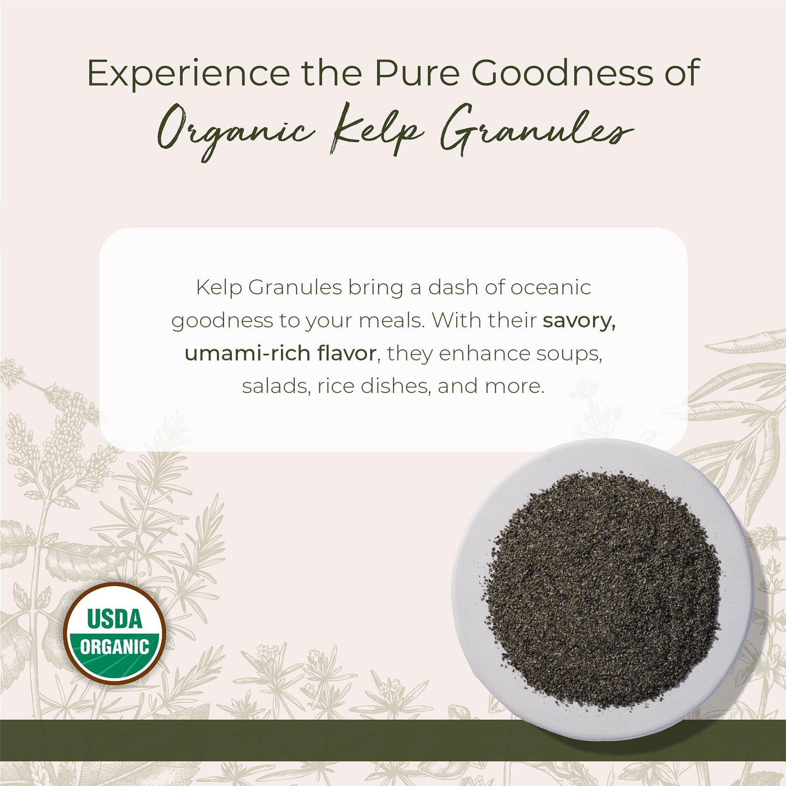 Starwest Botanicals Organic Kelp Granules – 16 Ounce (Pack of 1), No Color