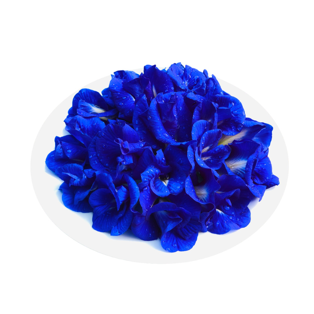 Premium Butterfly Pea Flower Tea Bags 100% Natural & Pure Herbal Blue Tea Drink