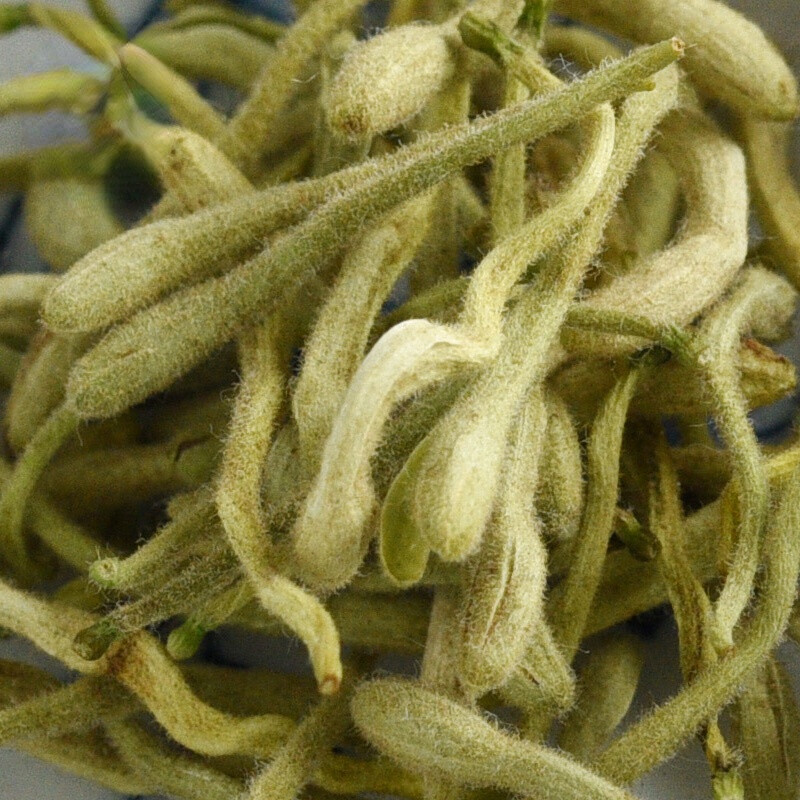 Honeysuckle Tea Organic Loose Leaf Jin Yin Hua Natural Premium Buds