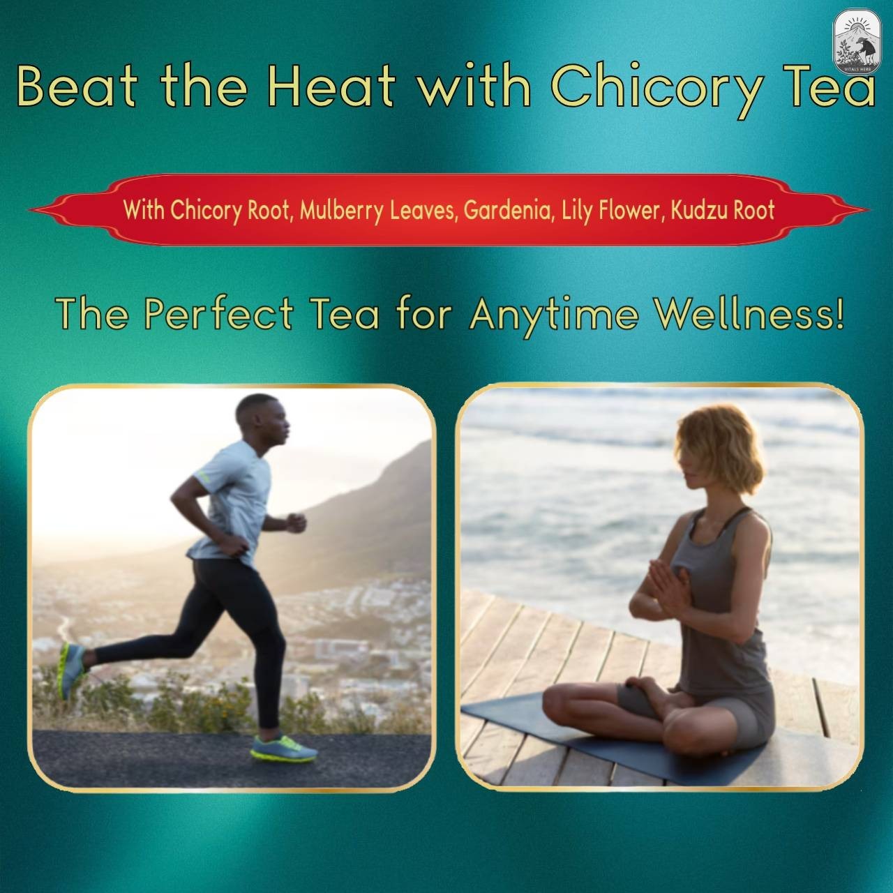 Chicory Gardenia Tea 30 Bags 150g Caffeine Free Whole Leaf Detox Herbal Blend