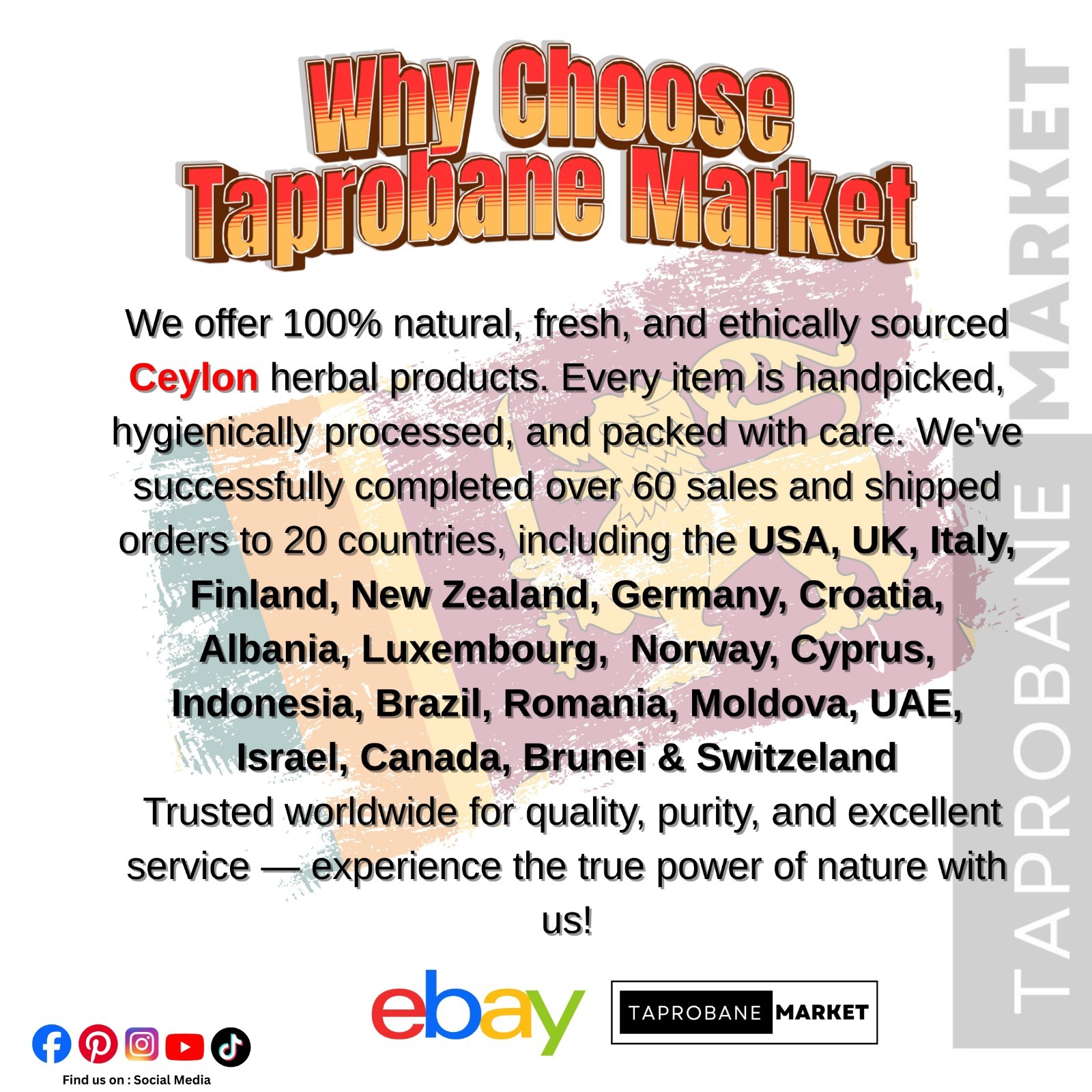 Pure Ceylon Tea 100% Authentic Sri Lankan Black Tea Premium Quality Fresh Leaves