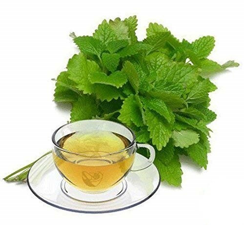 Lemon Balm – Melissa officinalis Dried Loose Leaf C/S by Nature, Wild Crafted