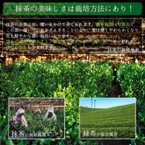 Marukyu Koyamaen Wakatake Matcha For Confectionery 100g Green Tea
