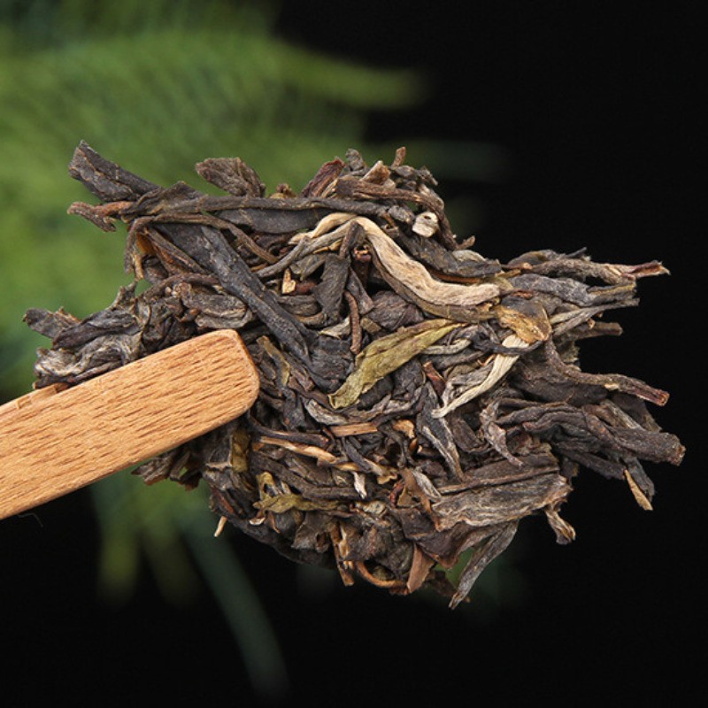 357g Yunnan Lincang 2023 Early Spring Ancient Tea Pu’er Tea Raw Tea Cake