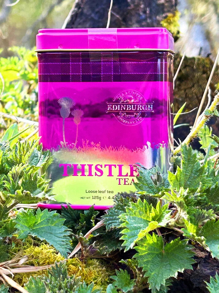 Edinburgh Tea & Coffee Large Thistle Tea Caddy – 125g tin