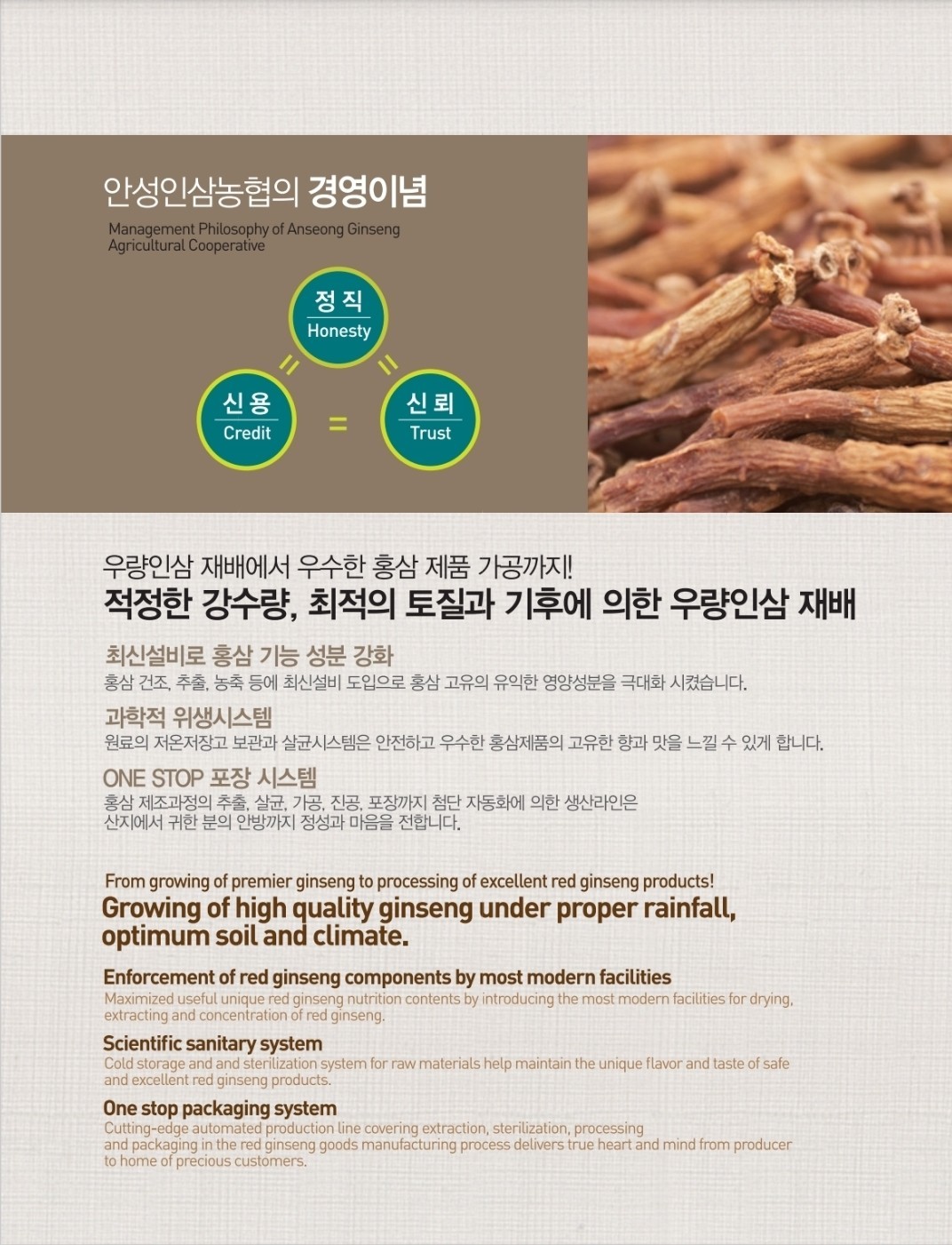 [An Seong Nonghyup] Korean 6 Years Red Ginseng Slices 20g × 10