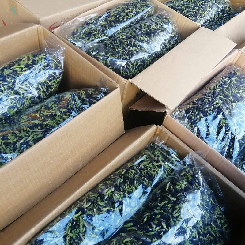 DRIED BLUE BUTTERFLY PEA FLOWER nil Katarolu Ternatea Clitoria Blue Tea Herb 50g