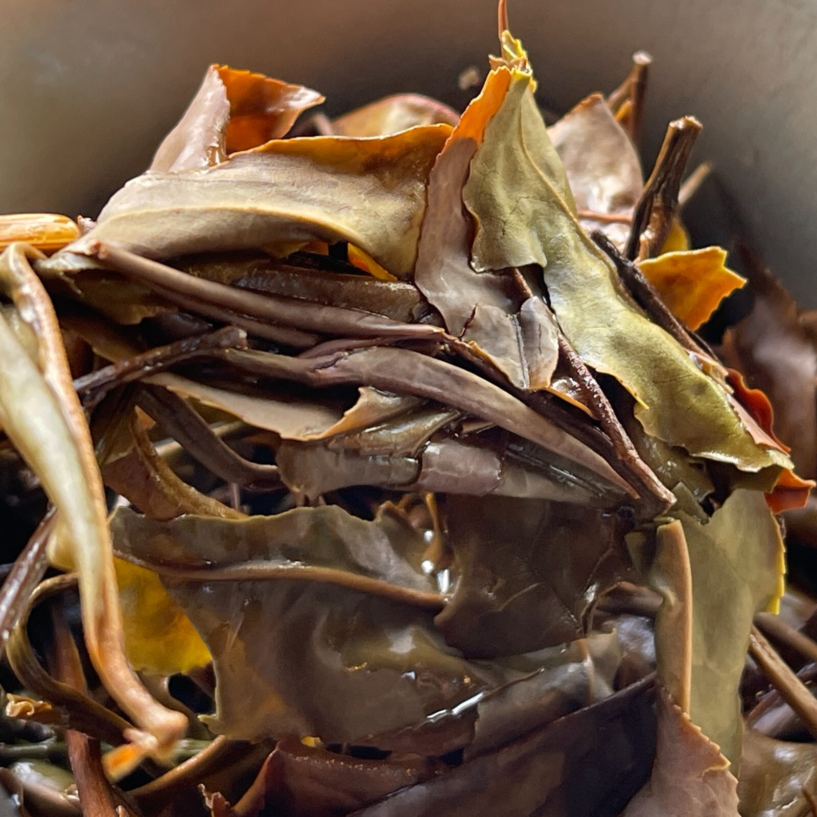 Taiwan indigenous wild tea,Liugui Tengzhi White Tea,38g*4