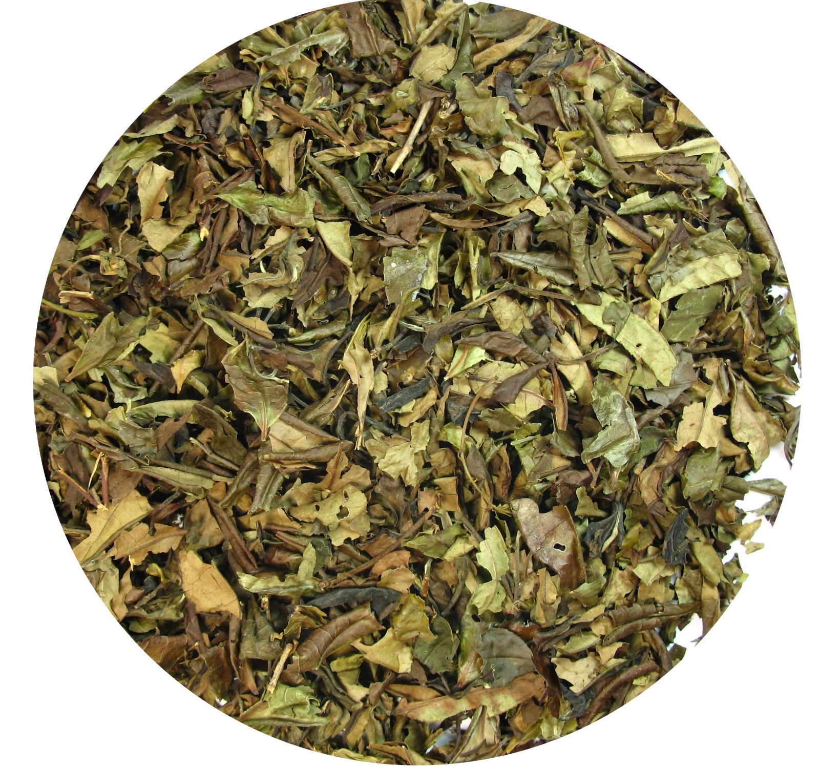 Organic Sowmee white tea loose leaf tea Wellness tea 1 LB